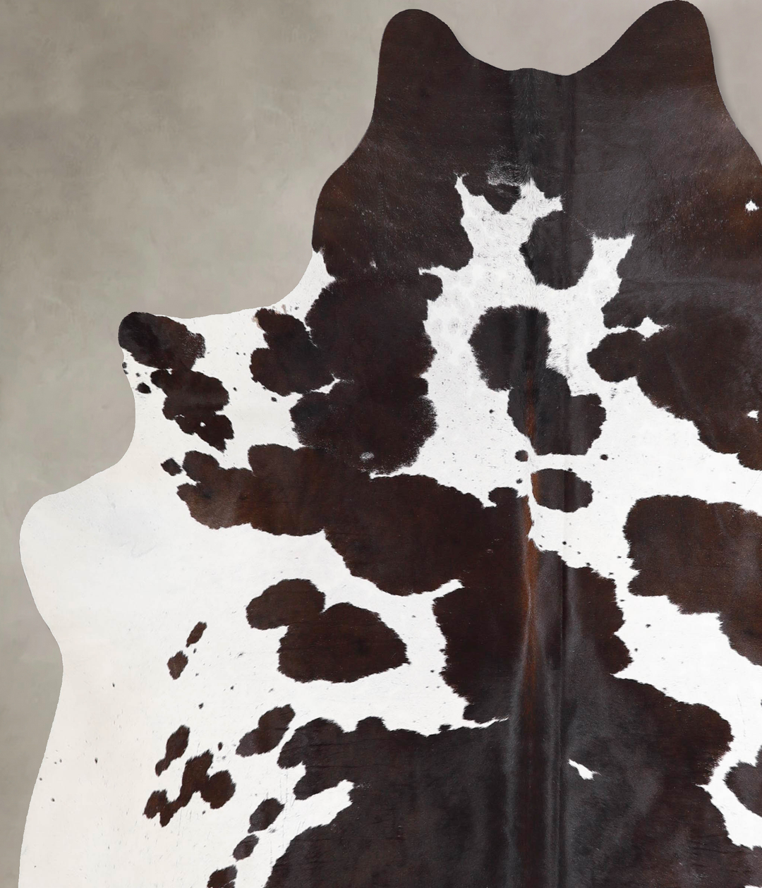 Chocolate and White X-Large Brazilian Cowhide Rug 7'0"H x 6'4"W #A4691