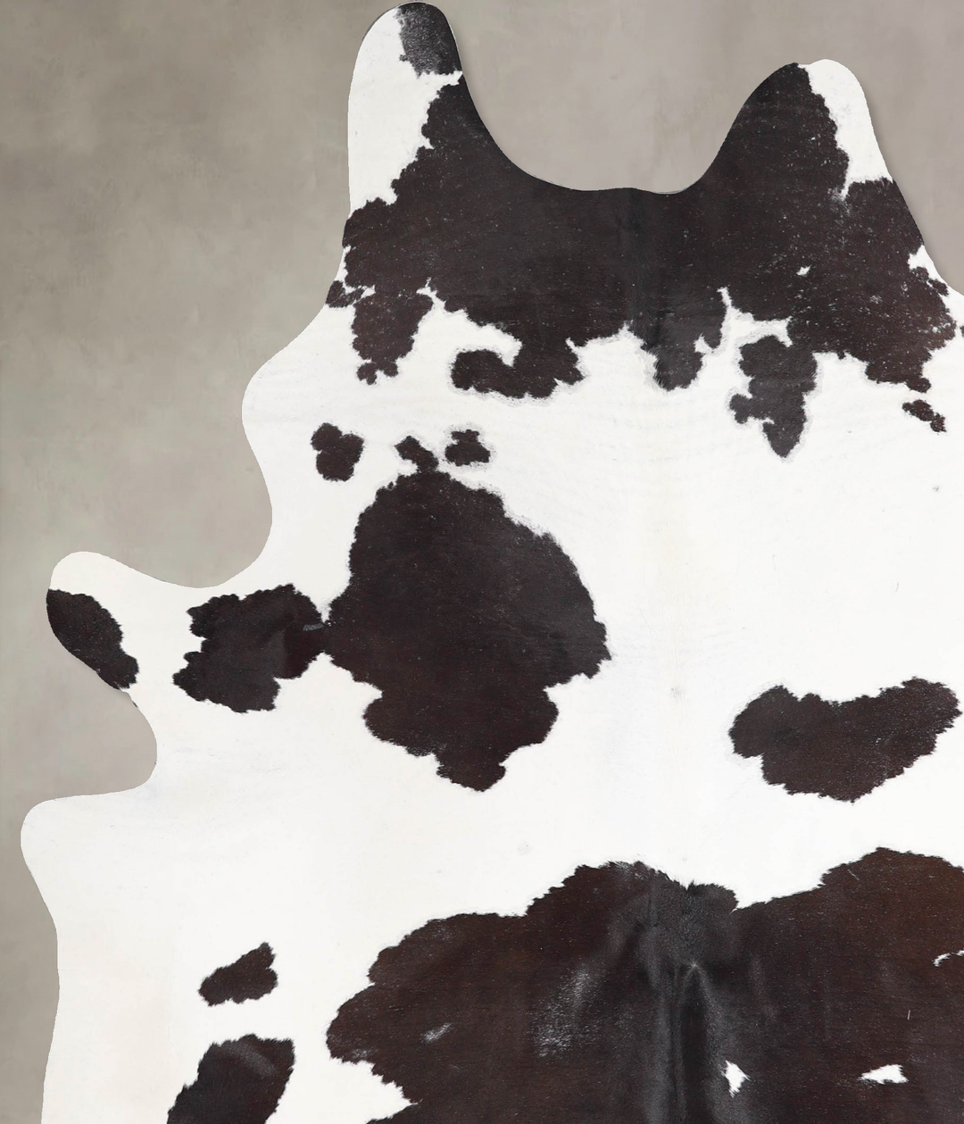 Chocolate and White X-Large Brazilian Cowhide Rug 7'5"H x 5'8"W #A4691