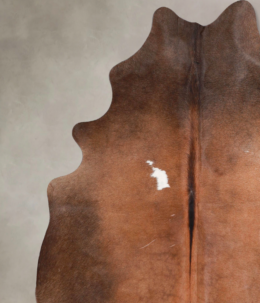 Chocolate and White Large Brazilian Cowhide Rug 6'4"H x 5'3"W #A46921 