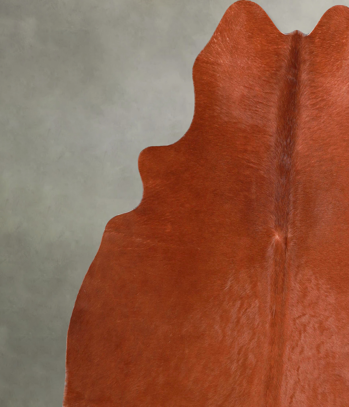 Solid Brown Large Brazilian Cowhide Rug 5'10"H x 5'11"W #A46937 by Hudson Hides