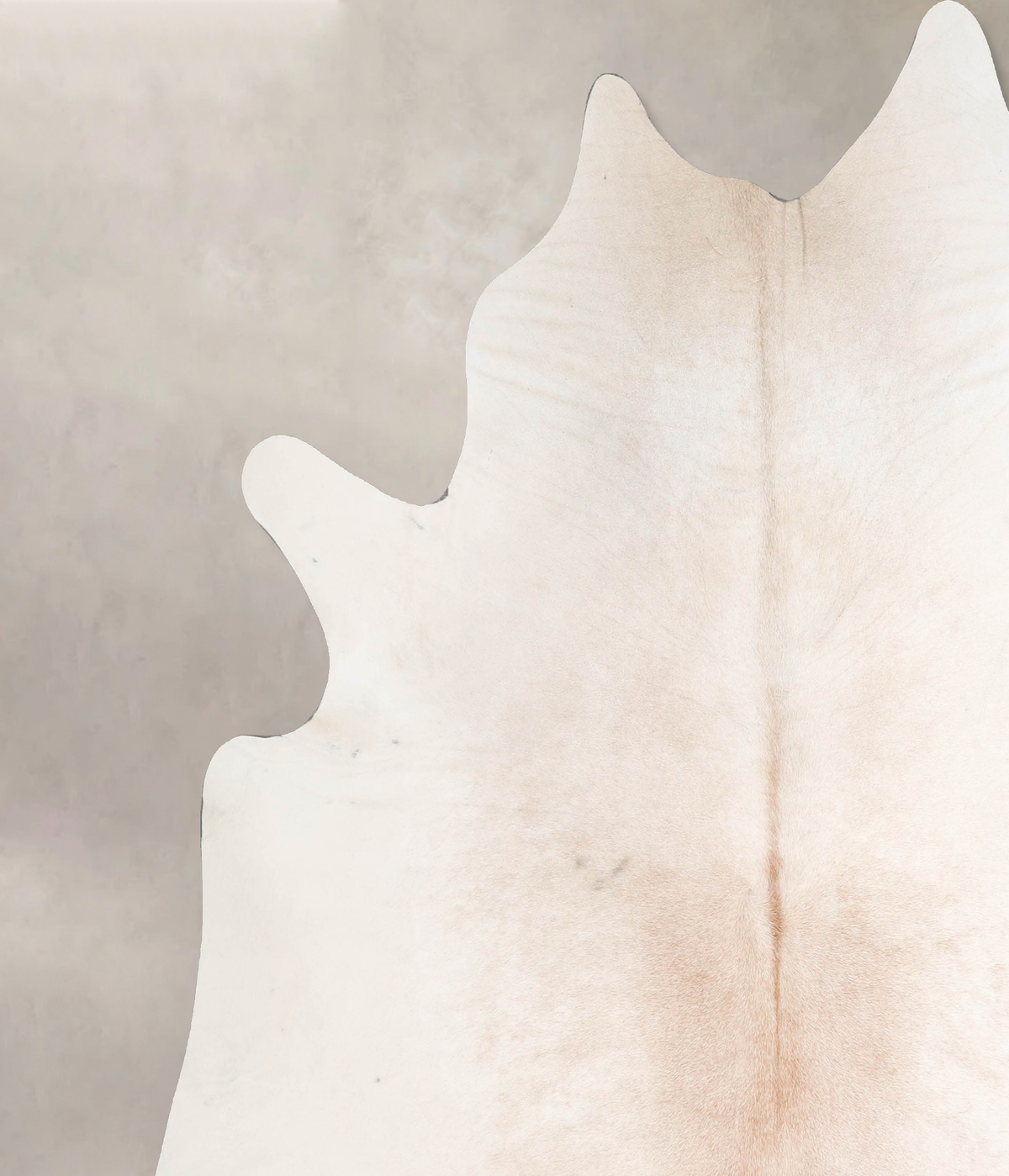 Ivory with Beige XX-Large Brazilian Cowhide Rug 7'8"H x 7'4"W #A46963 by Hudson Hides