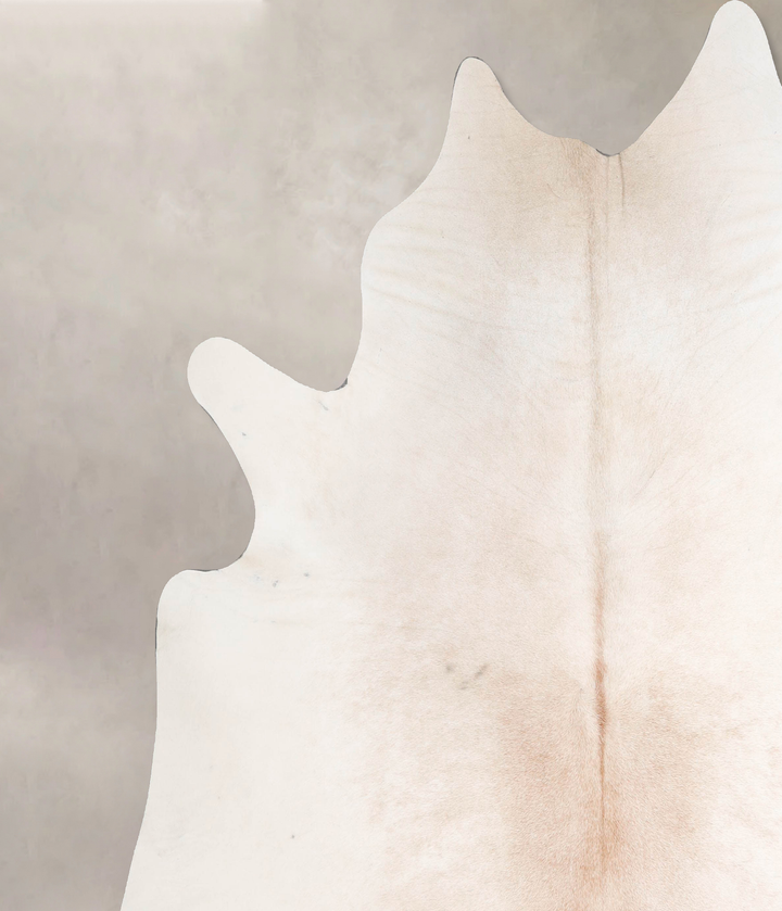 Ivory with Beige XX-Large Brazilian Cowhide Rug 7'8"H x 7'4"W #A46963 by Hudson Hides