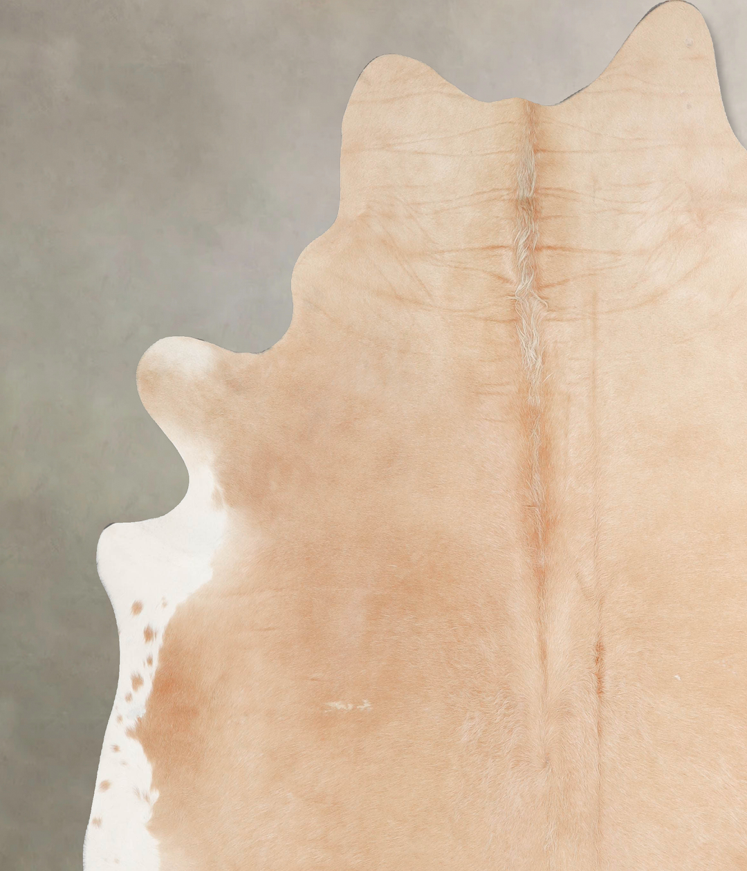 Palomino XX-Large Brazilian Cowhide Rug 7'11"H x 7'3"W #A46977 by Huds