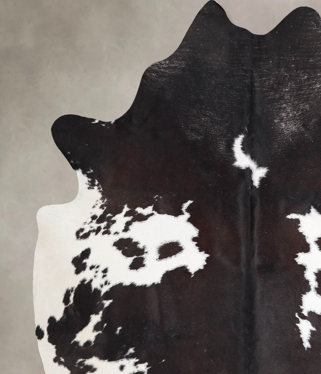 Chocolate and White X-Large Brazilian Cowhide Rug 6'11"H x 6'0"W #A469