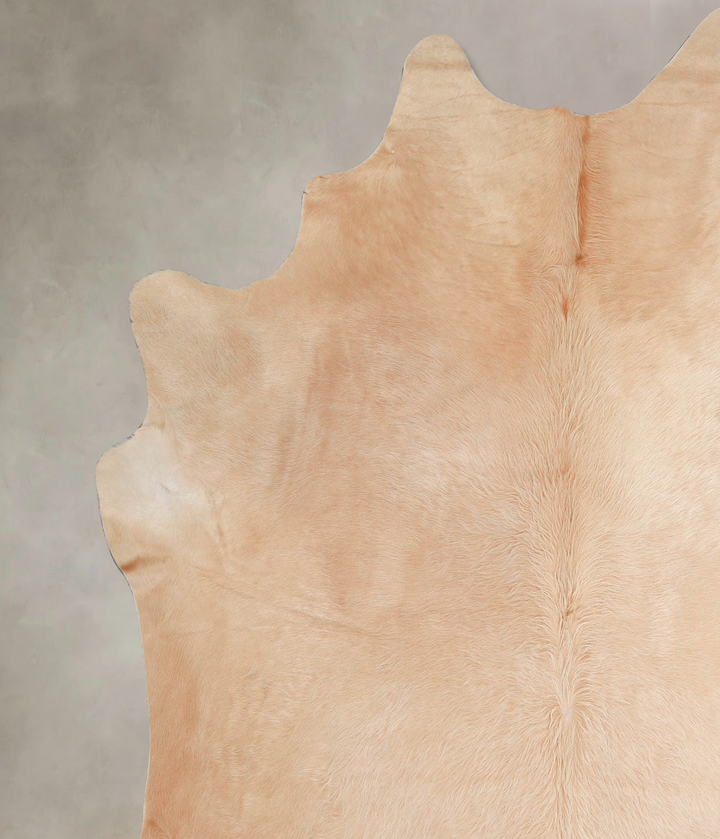Beige XX-Large Brazilian Cowhide Rug 8'0"H x 7'4"W #A47013 by Hudson Hides