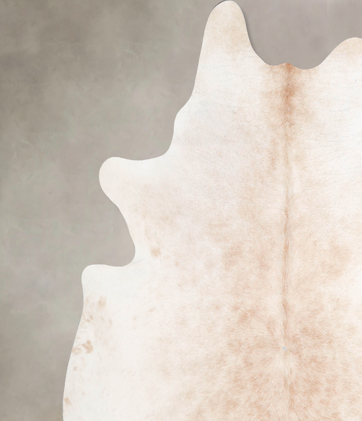 Ivory with Beige XX-Large Brazilian Cowhide Rug 7'8"H x 7'4"W #A47030 by Hudson Hides