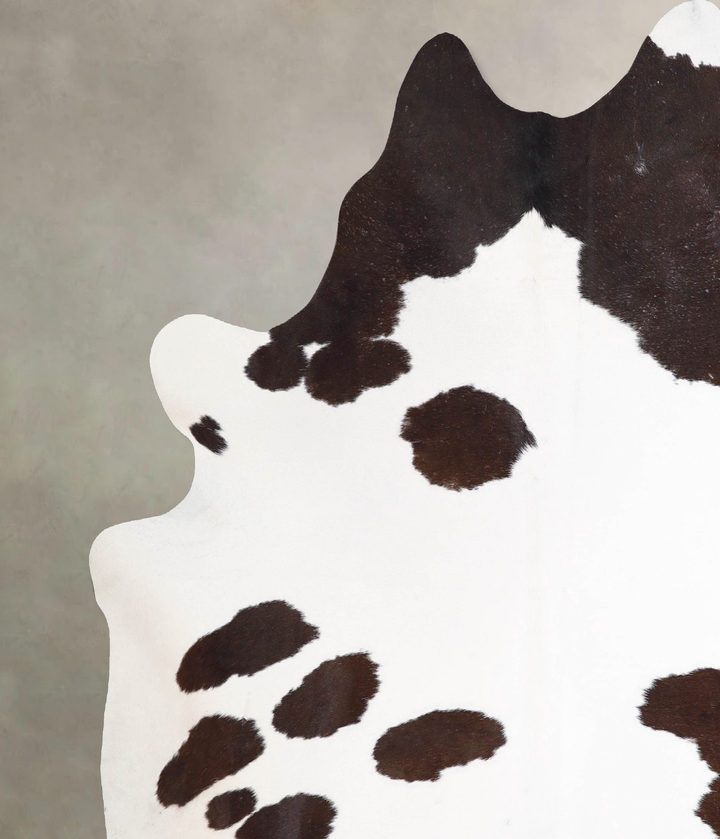 Chocolate and White XX-Large Brazilian Cowhide Rug 7'11"H x 7'1"W #A47031 by Hudson Hides