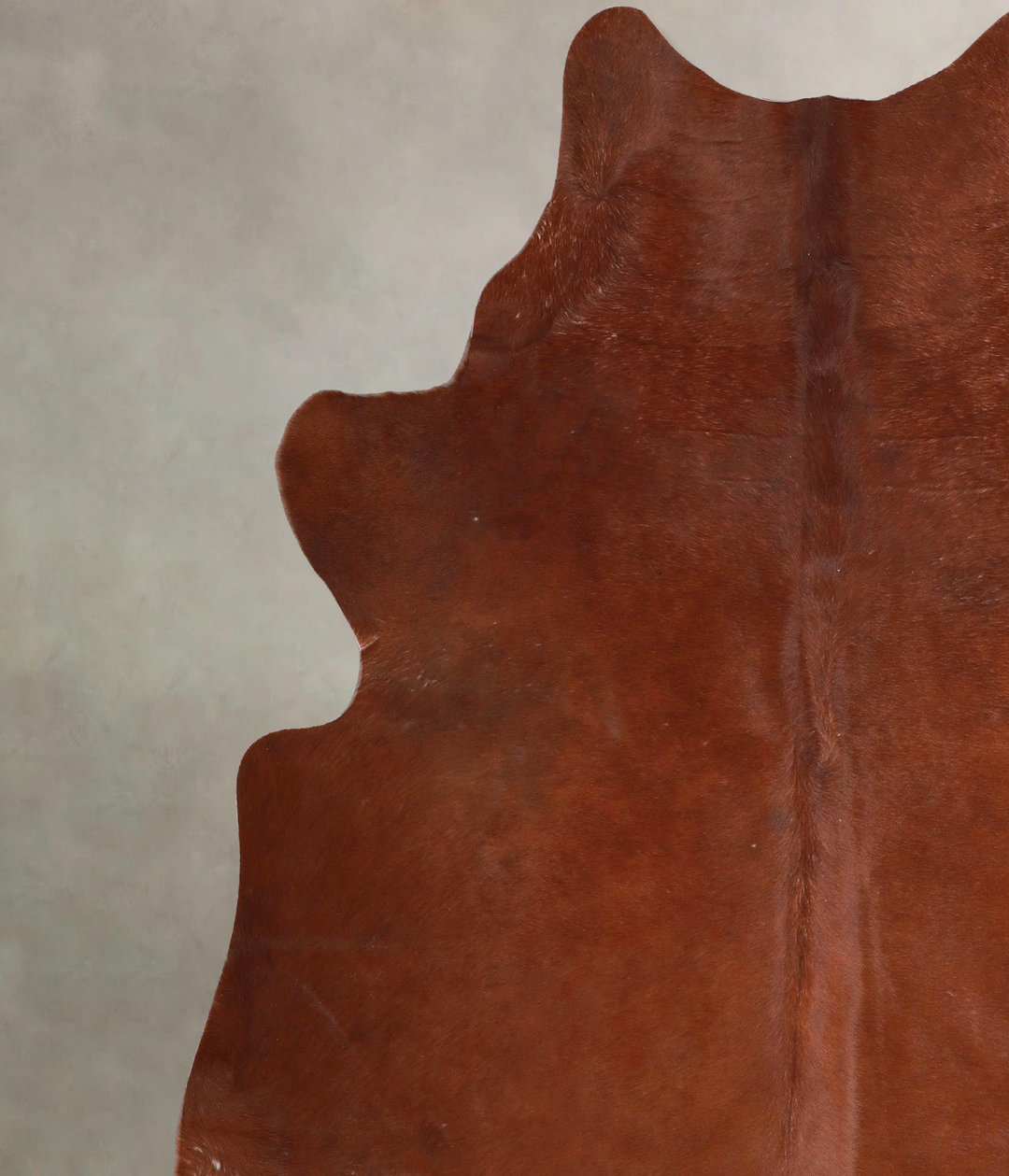 Solid Brown X-Large Brazilian Cowhide Rug 7'0"H x 6'6"W #A47053 by Hud