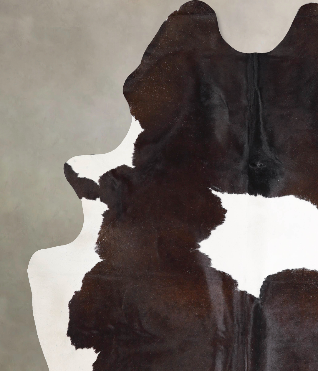Chocolate and White XX-Large Brazilian Cowhide Rug 8'3"H x 6'5"W #A470