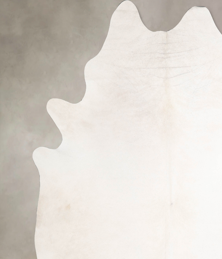 Ivory with Beige XX-Large Brazilian Cowhide Rug 8'0"H x 7'6"W #A47062 by Hudson Hides