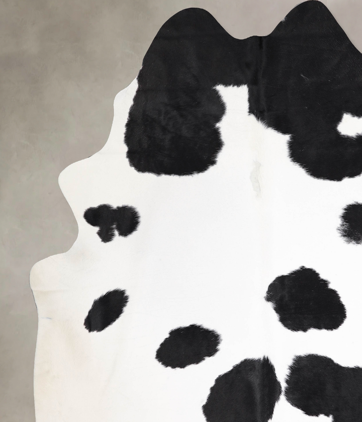 Black and White XX-Large Brazilian Cowhide Rug 8'3"H x 7'9"W #A47064 by Hudson Hides