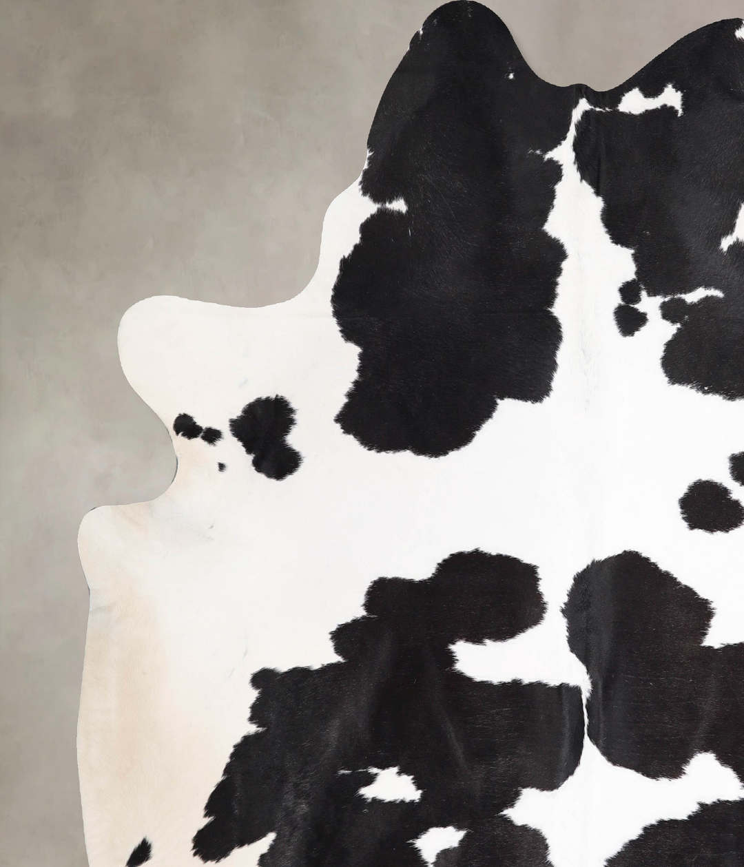 Black and White XX-Large Brazilian Cowhide Rug 7'7"H x 7'3"W #A47066 b