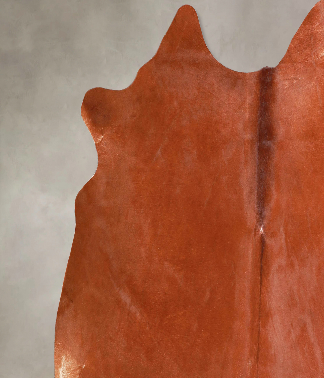 Solid Brown X-Large Brazilian Cowhide Rug 6'4"H x 6'10"W #A47069 by Hu