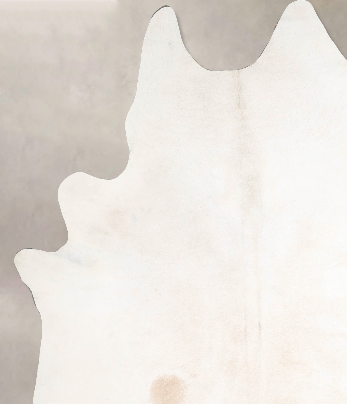 Ivory with Beige XX-Large Brazilian Cowhide Rug 8'8"H x 7'5"W #A47078 by Hudson Hides