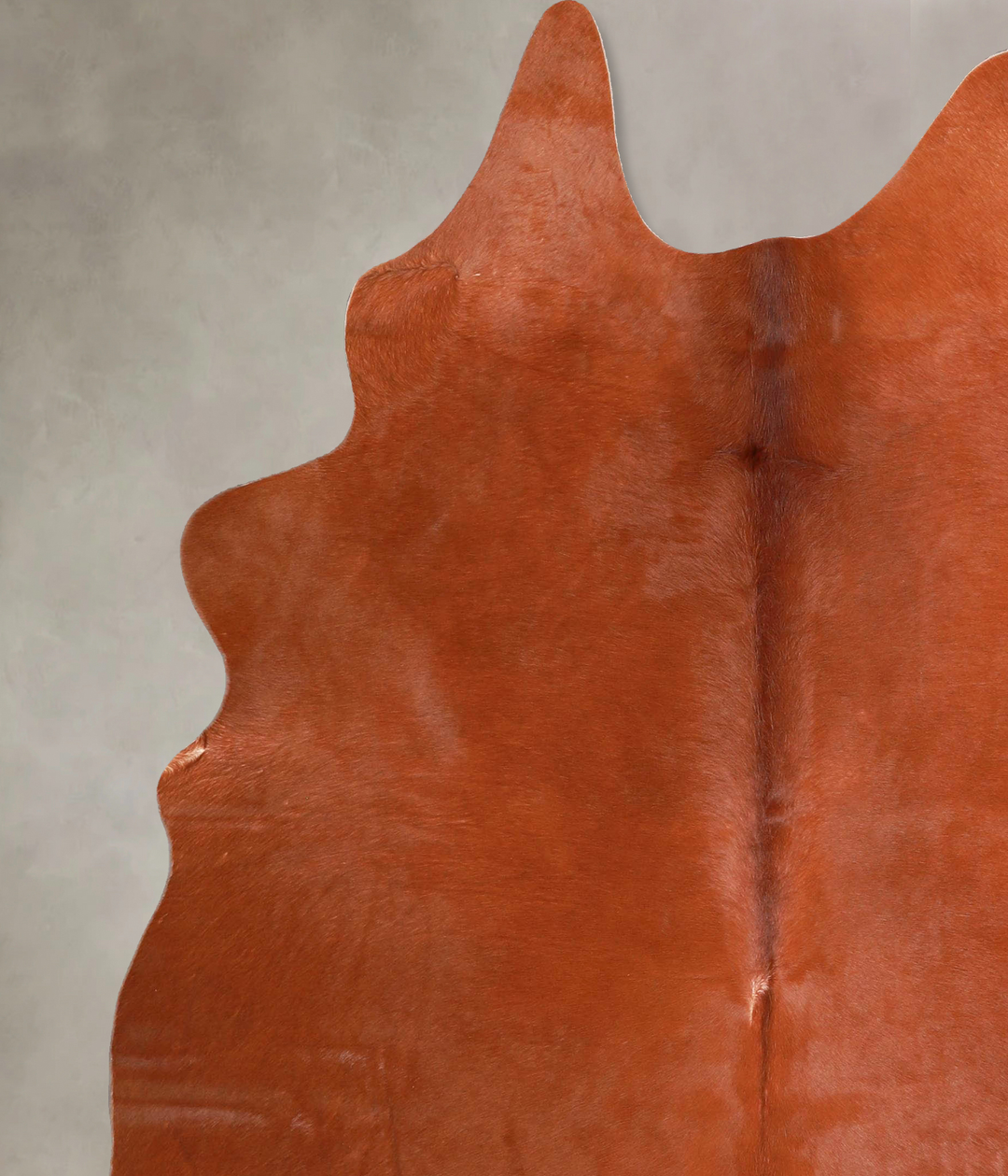 Solid Brown X-Large Brazilian Cowhide Rug 7'0"H x 5'9"W #A47082 by Hud