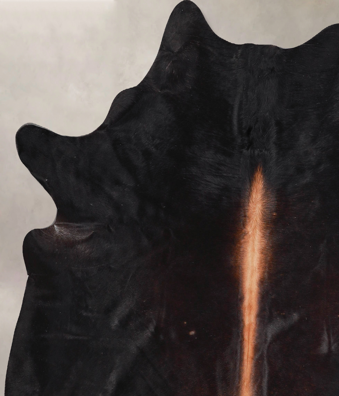 Chocolate X-Large Brazilian Cowhide Rug 6'11"H x 6'1"W #A47091 by Huds