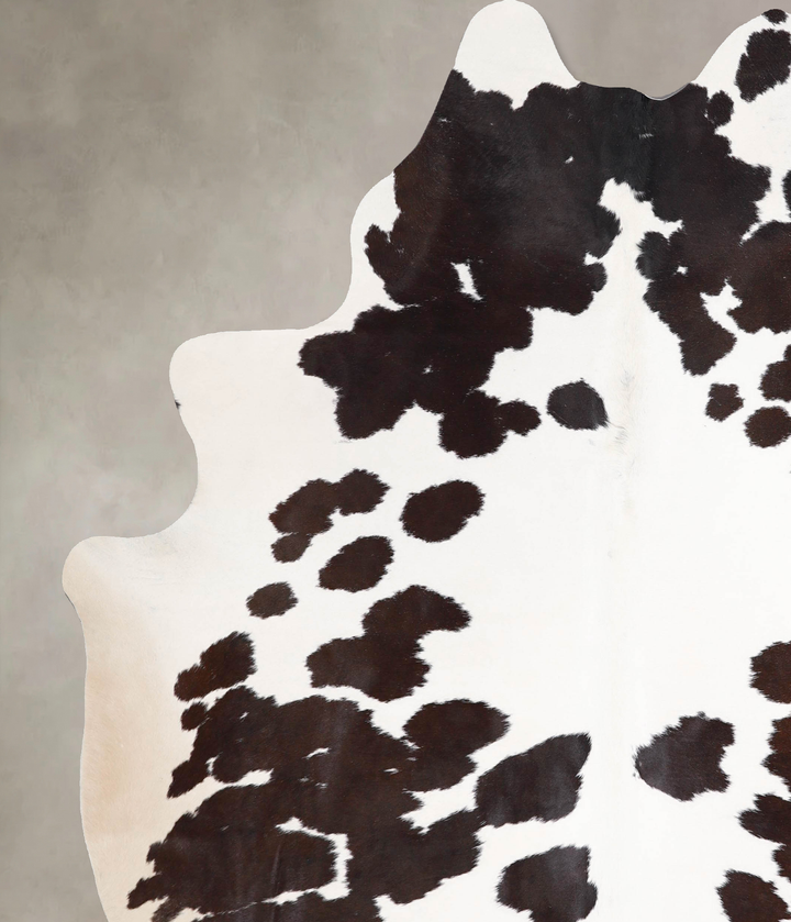 Chocolate and White XX-Large Brazilian Cowhide Rug 7'11"H x 6'7"W #A47099 by Hudson Hides