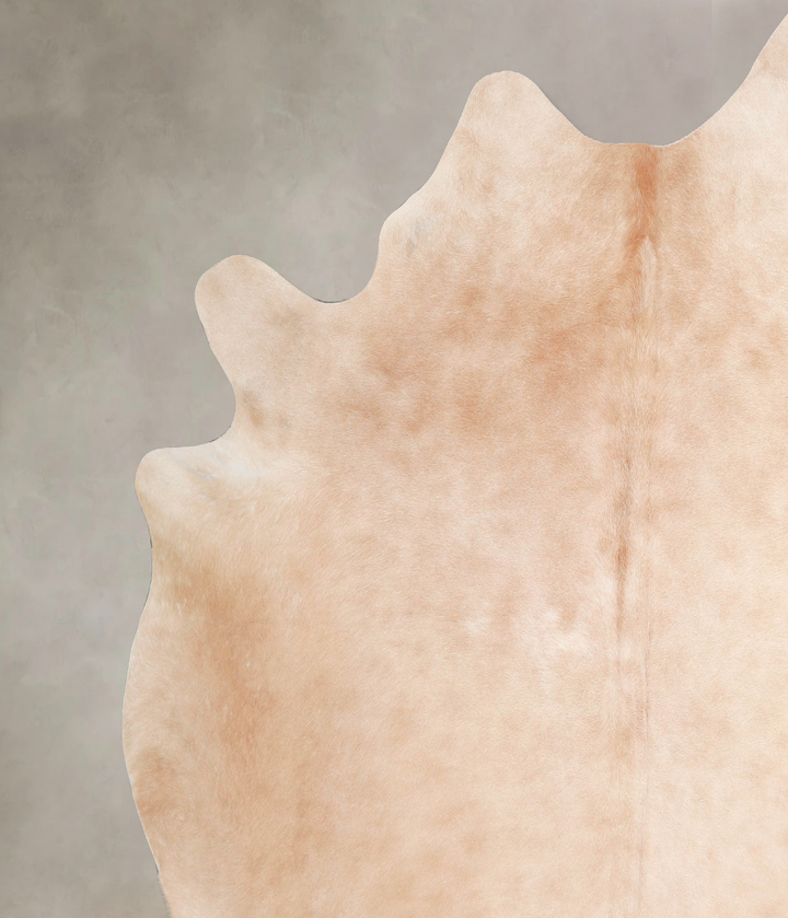 Beige XX-Large Brazilian Cowhide Rug 8'0"H x 7'5"W #A47104 by Hudson Hides