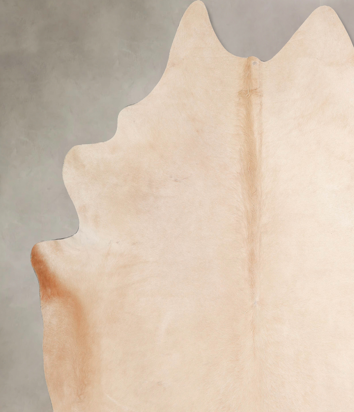 Palomino XX-Large Brazilian Cowhide Rug 8'0"H x 7'8"W #A47122 by Hudson Hides