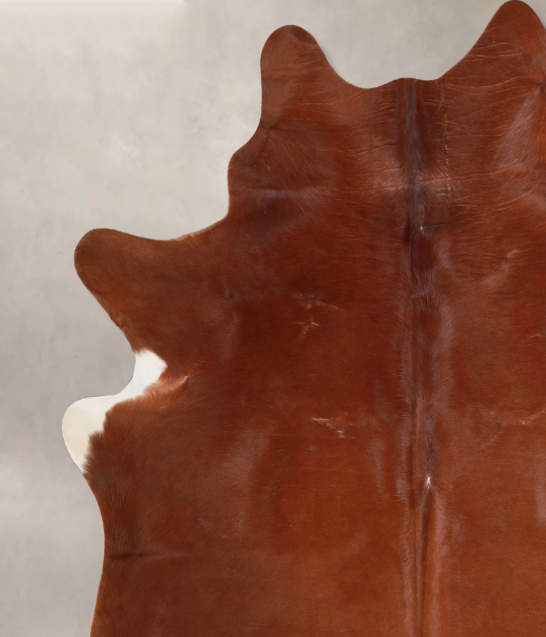 Solid Brown X-Large Brazilian Cowhide Rug 6'8"H x 6'2"W #A47137 by Hud