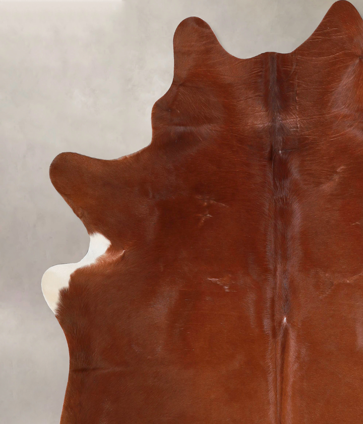 Solid Brown X-Large Brazilian Cowhide Rug 6'8"H x 6'2"W #A47137 by Hudson Hides