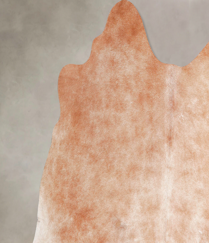 Light Caramel Large Brazilian Cowhide Rug 5'4"H x 6'5"W #A47161 by Hudson Hides