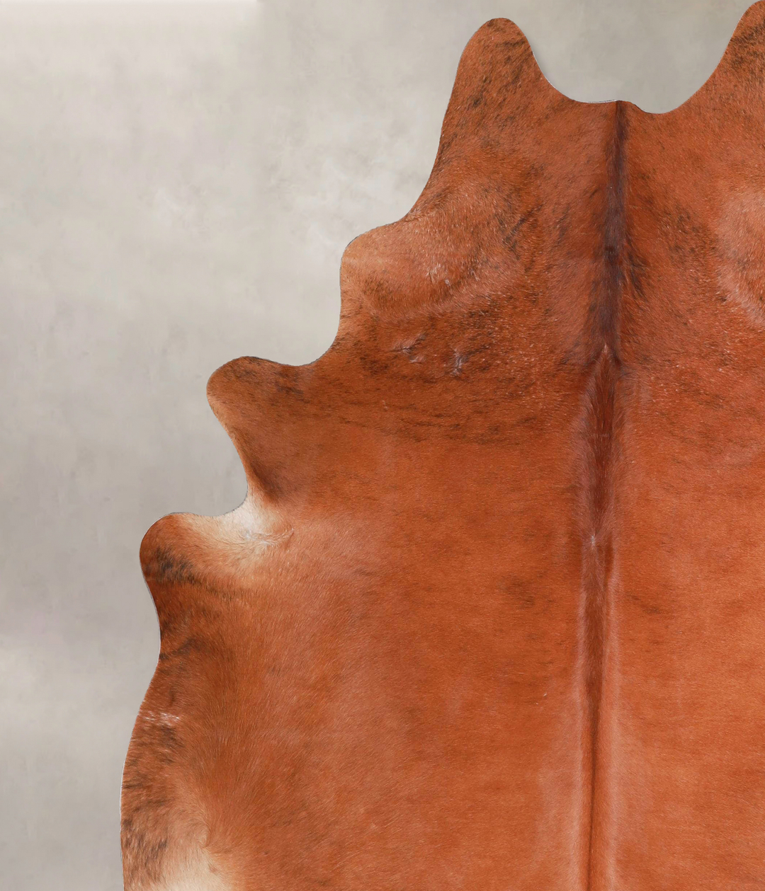Solid Brown X-Large Brazilian Cowhide Rug 7'0"H x 6'6"W #A47162 by Hud