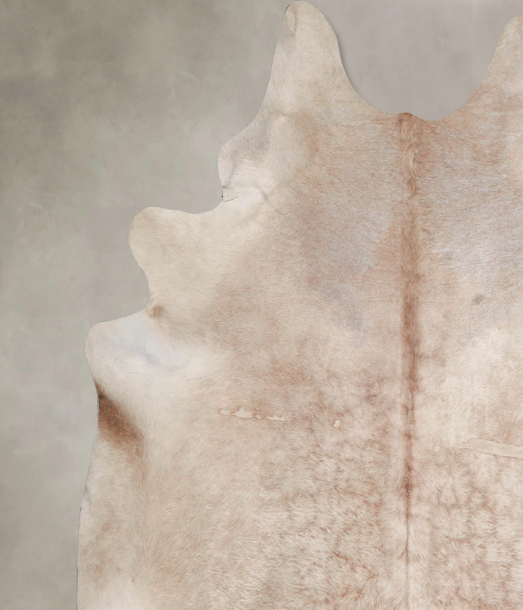 Champagne XX-Large Brazilian Cowhide Rug 7'11"H x 7'7"W #A47176 by Hud
