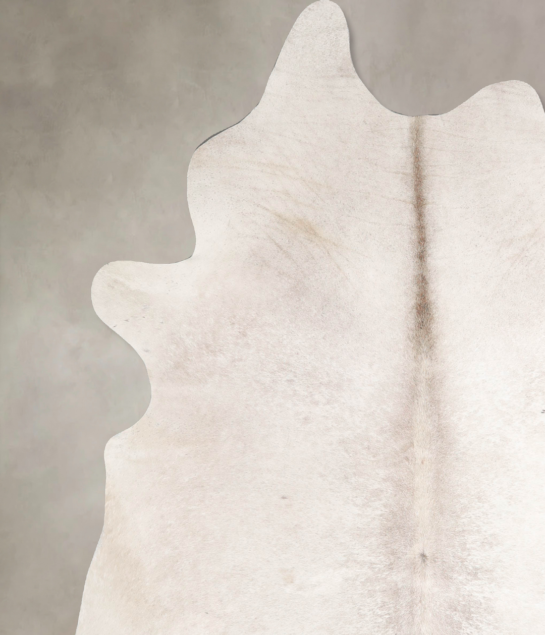 Ivory with Beige XX-Large Brazilian Cowhide Rug 8'1"H x 6'4"W #A47178 