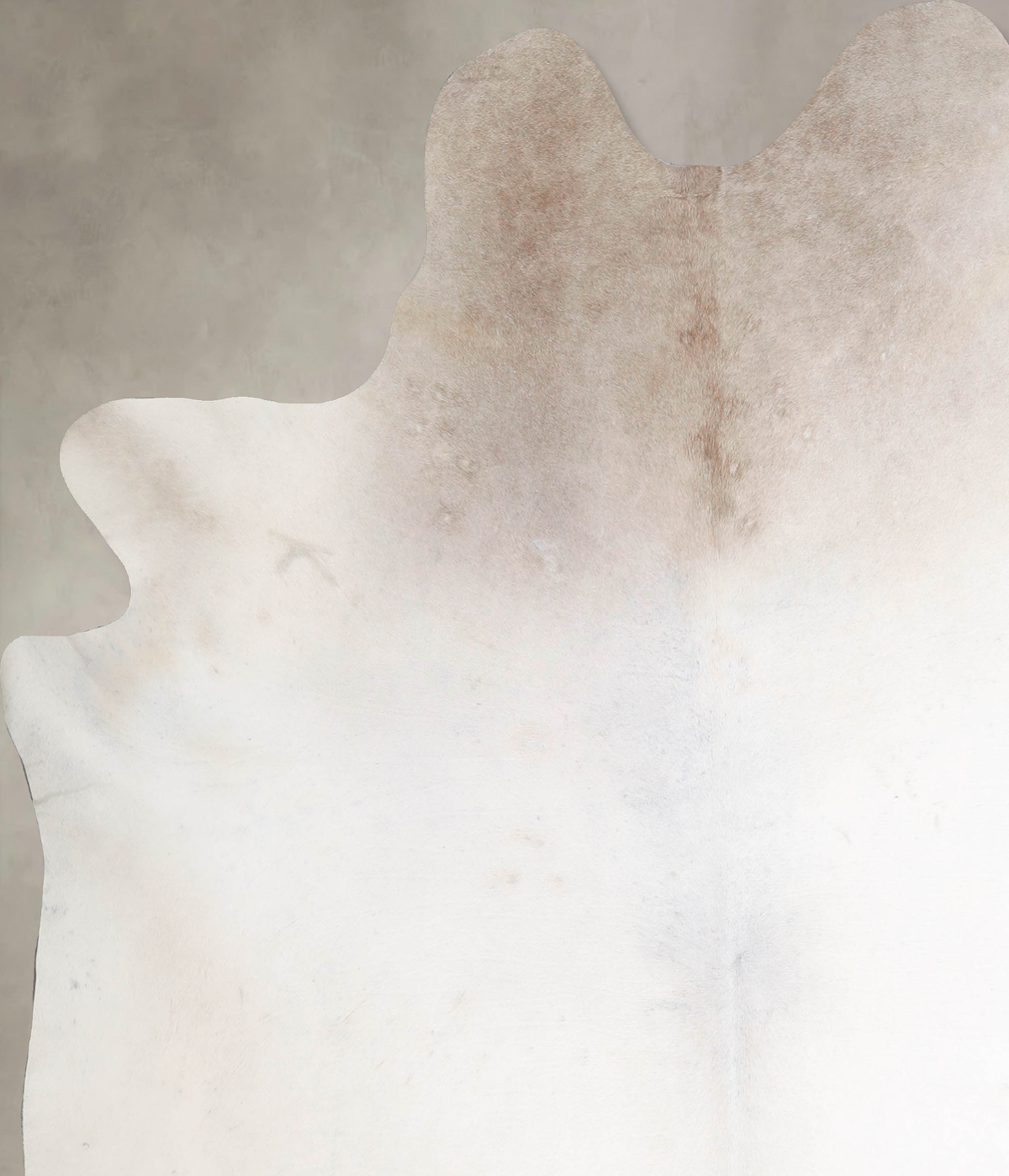 Ivory with Beige Cowhide Rug #A47189