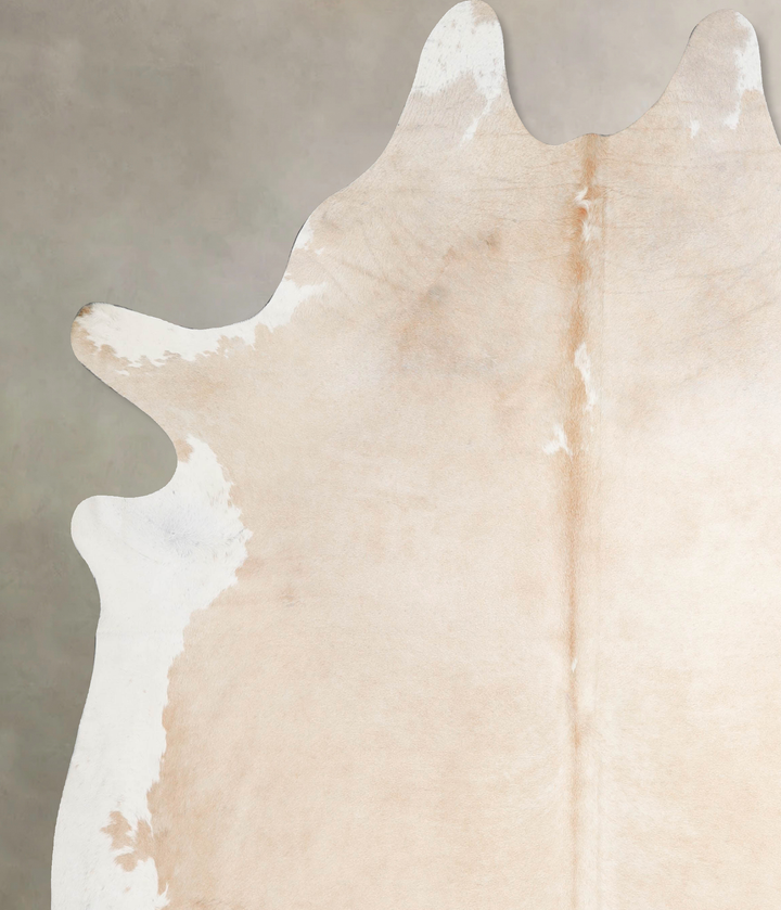 Palomino XX-Large Brazilian Cowhide Rug 8'0"H x 7'2"W #A47237 by Hudson Hides