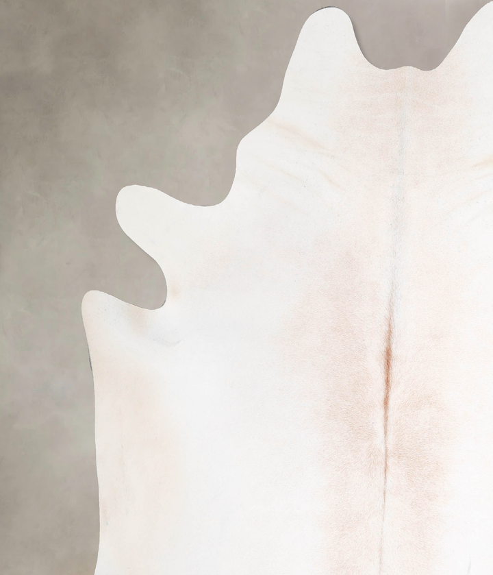 Ivory with Beige XX-Large Brazilian Cowhide Rug 7'7"H x 7'1"W #A47241 by Hudson Hides