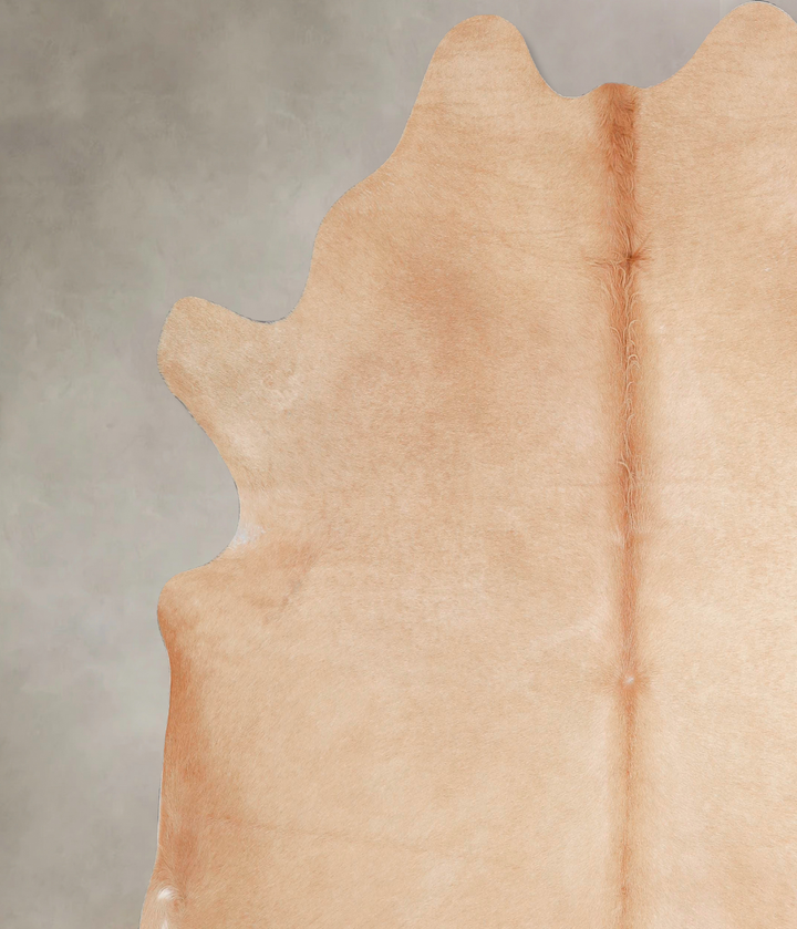 Beige X-Large Brazilian Cowhide Rug 6'11"H x 6'8"W #A47284 by Hudson Hides