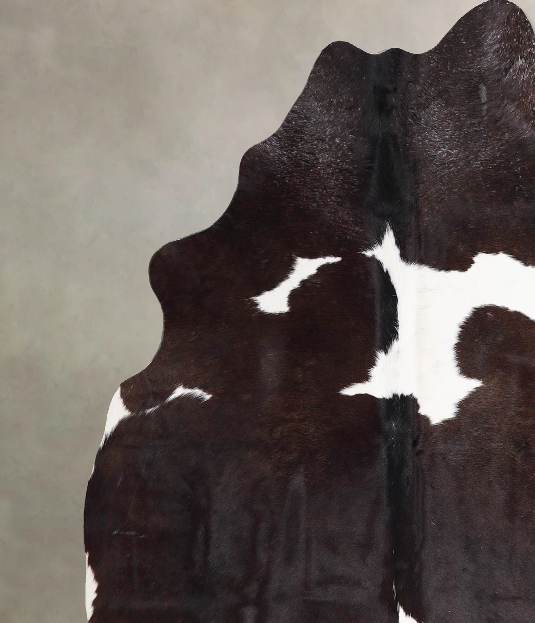 Chocolate and White Large Brazilian Cowhide Rug 6'2"H x 5'8"W #A47336 