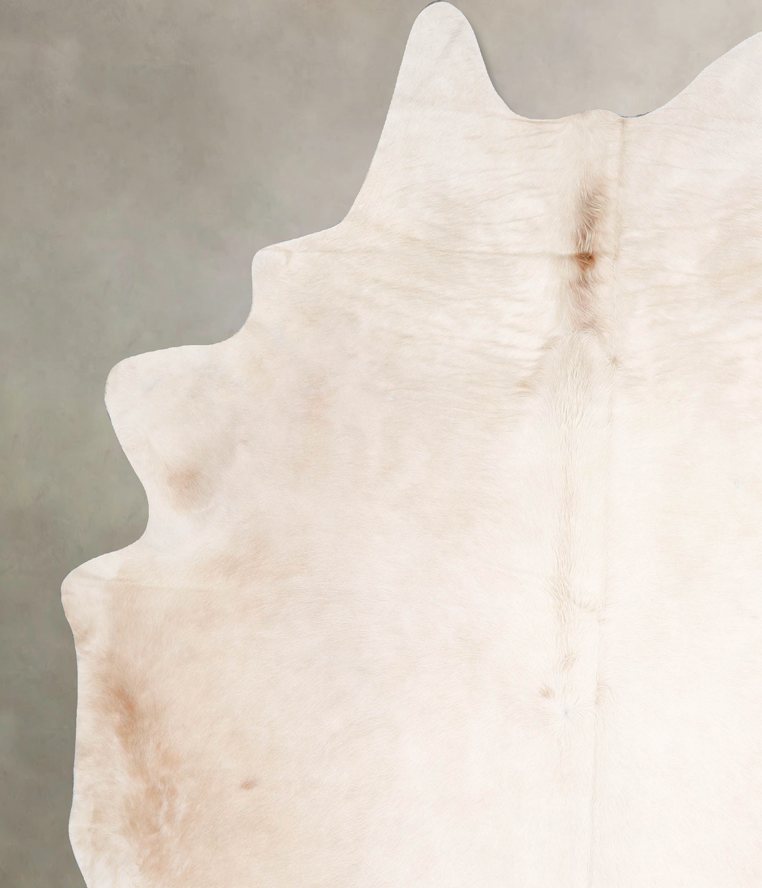 Ivory with Beige XX-Large Brazilian Cowhide Rug 8'2"H x 7'0"W #A47390 