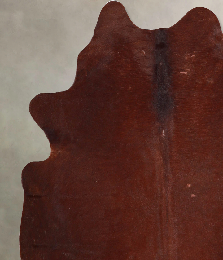 Solid Brown X-Large Brazilian Cowhide Rug 6'7"H x 6'6"W #A47452 by Hudson Hides