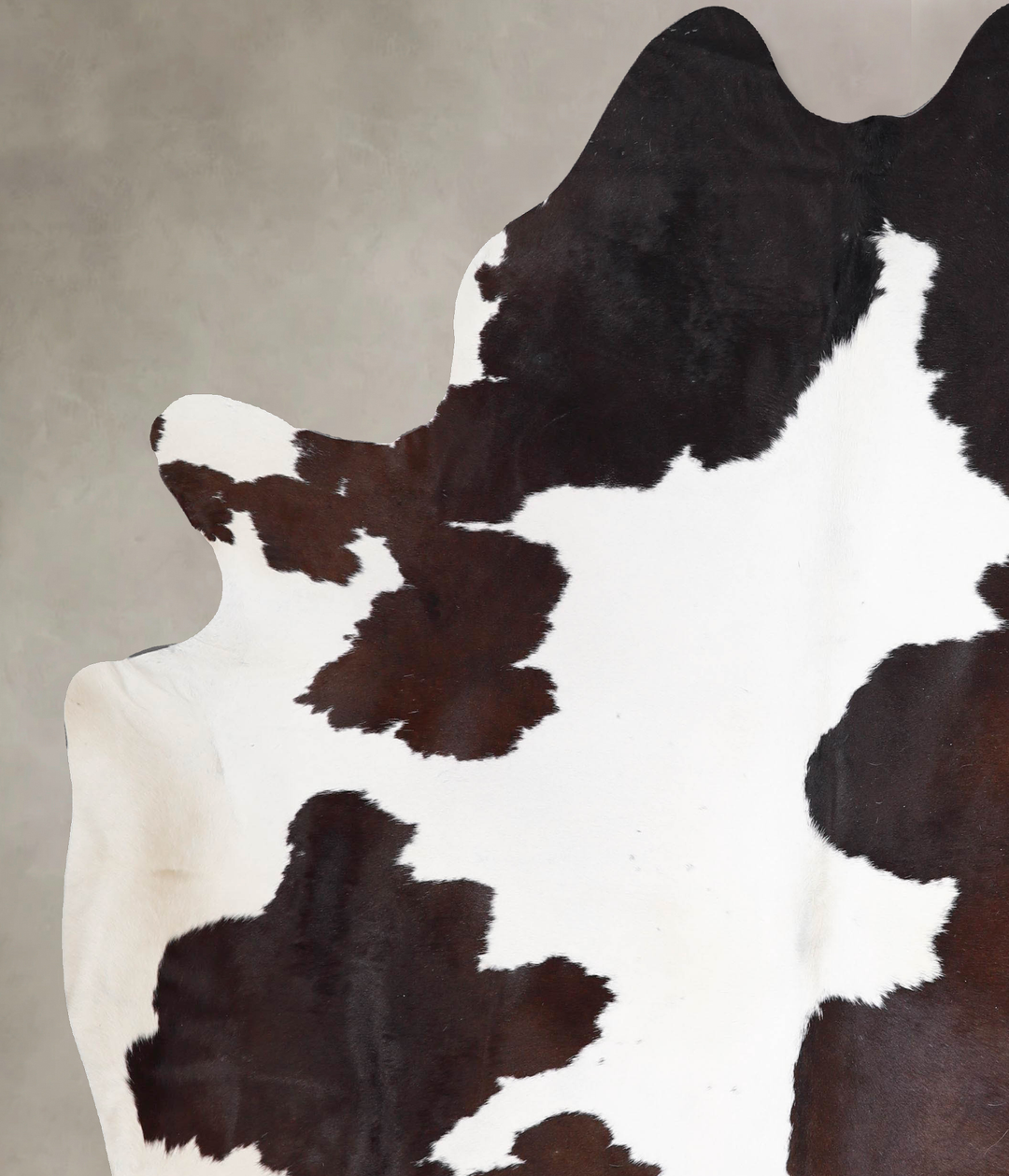 Chocolate and White XX-Large Brazilian Cowhide Rug 7'11"H x 6'7"W #A47