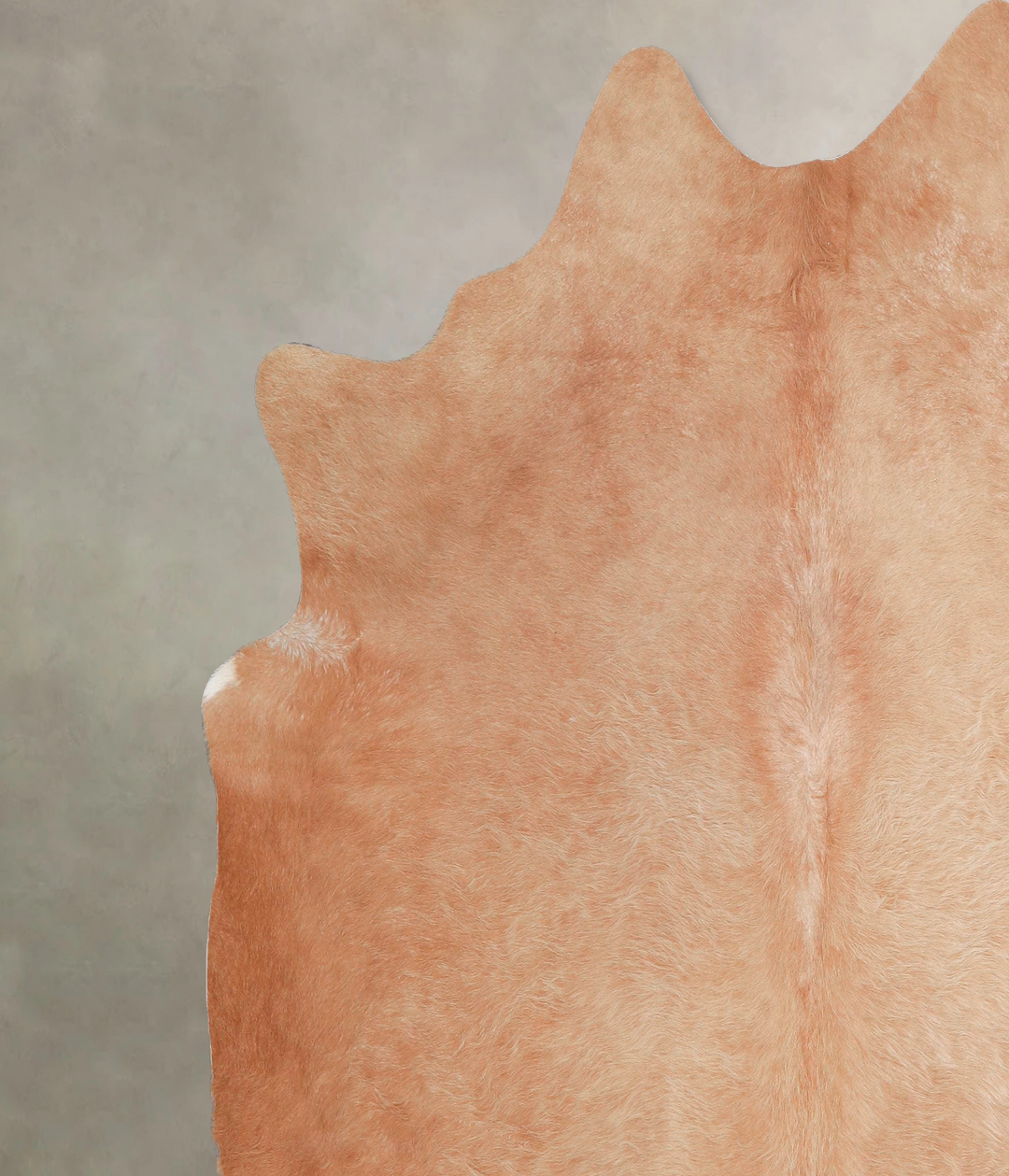 Beige X-Large Brazilian Cowhide Rug 6'11"H x 6'7"W #A47484 by Hudson H