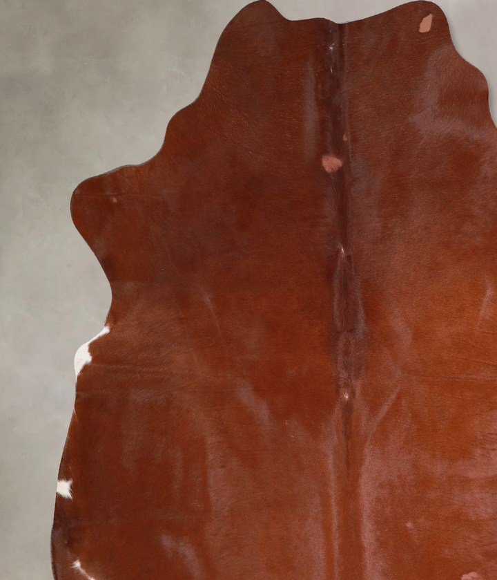 Solid Brown XX-Large Brazilian Cowhide Rug 7'3"H x 6'11"W #A47502 by Hudson Hides