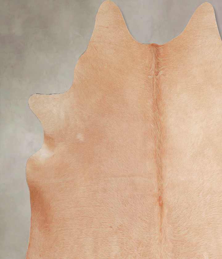 Beige XX-Large Brazilian Cowhide Rug 7'3"H x 7'3"W #A47531 by Hudson Hides