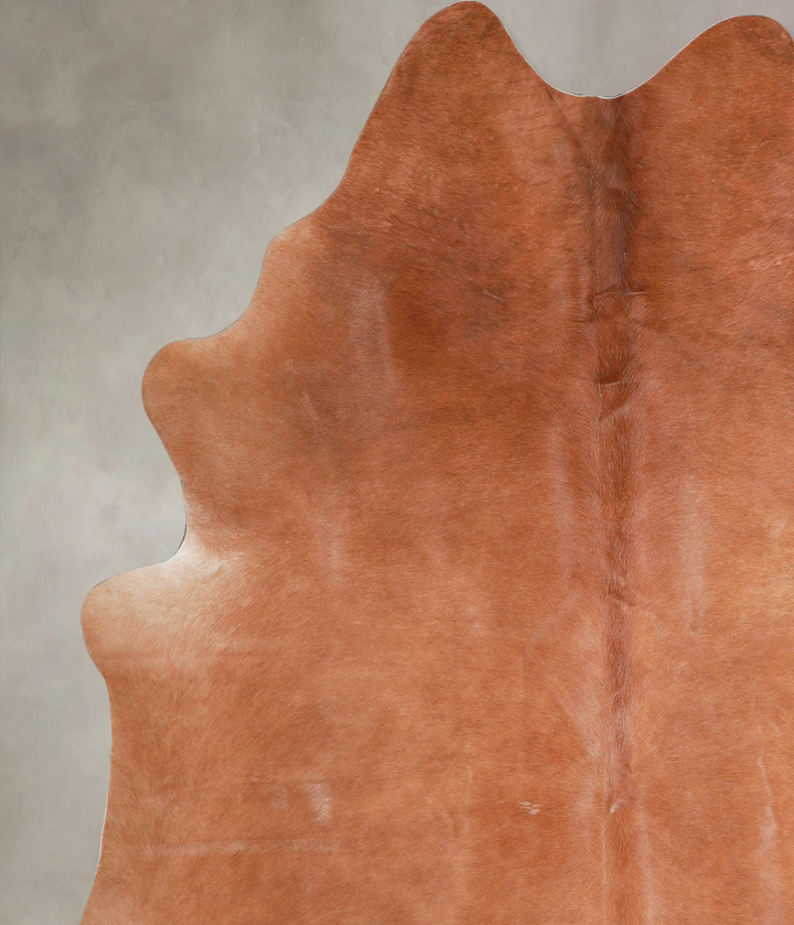 Solid Brown X-Large Brazilian Cowhide Rug 7'0"H x 6'6"W #A47532 by Hudson Hides