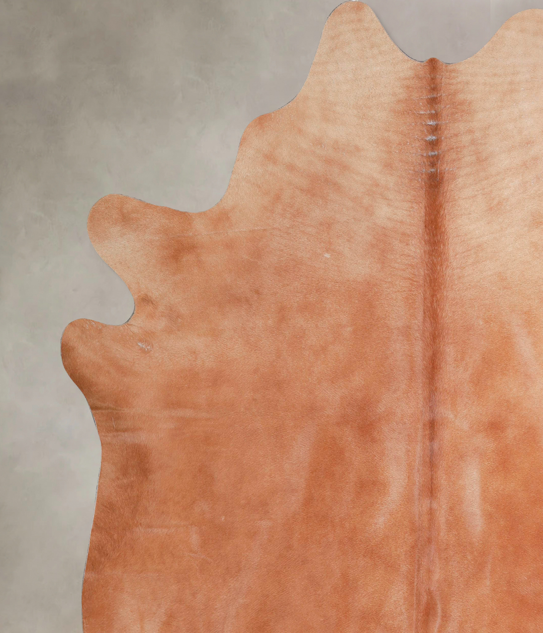 Solid Brown X-Large Brazilian Cowhide Rug 7'4"H x 6'7"W #A47535 by Hud