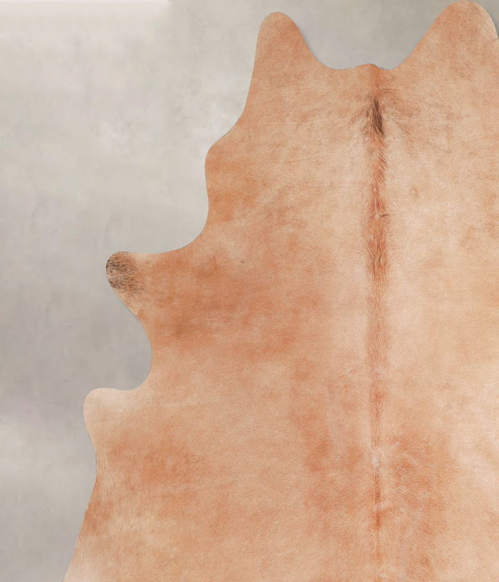 Beige XX-Large Brazilian Cowhide Rug 7'6"H x 7'0"W #A47536 by Hudson Hides