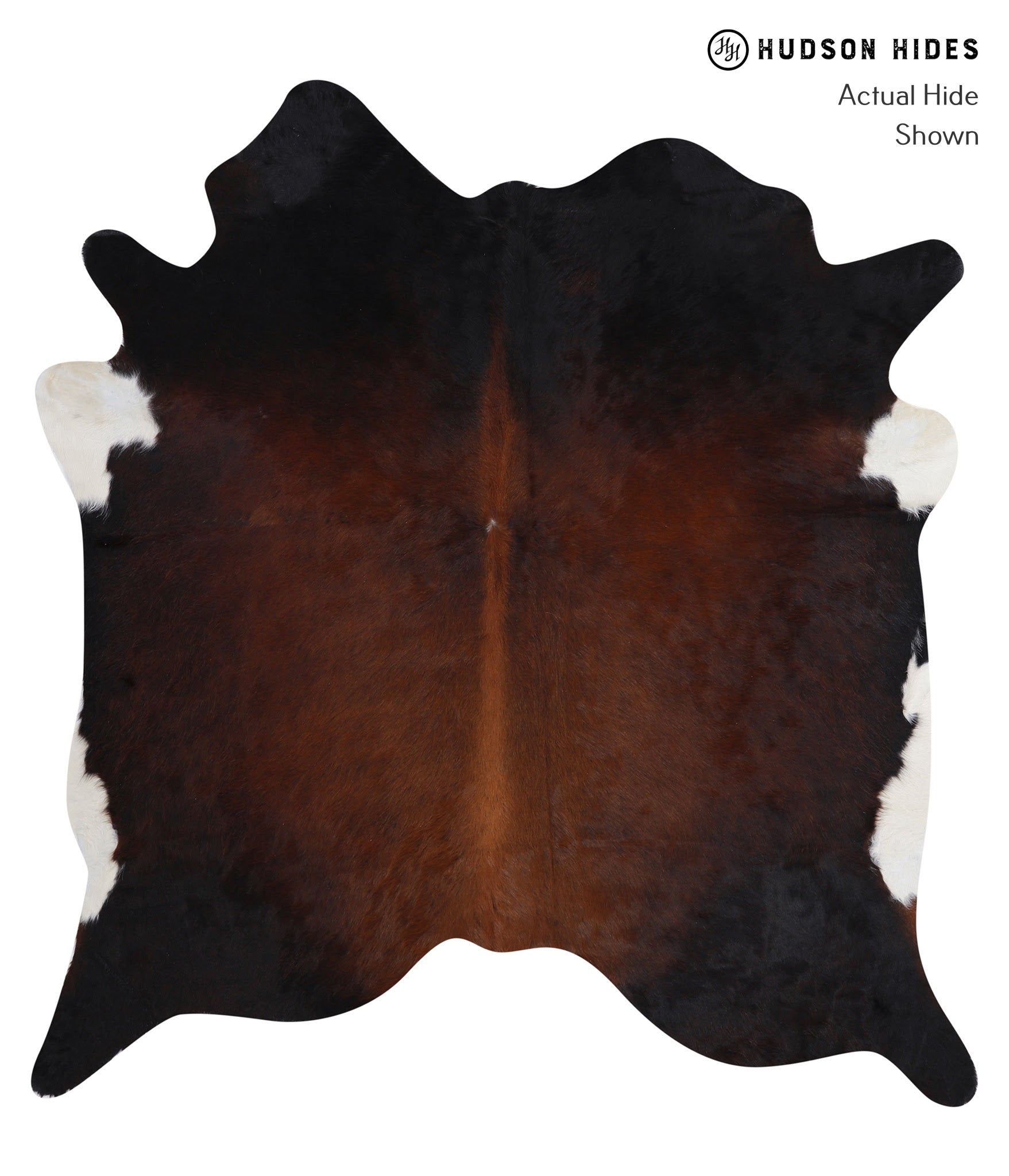 Brown with Red Cowhide Rug #A4754