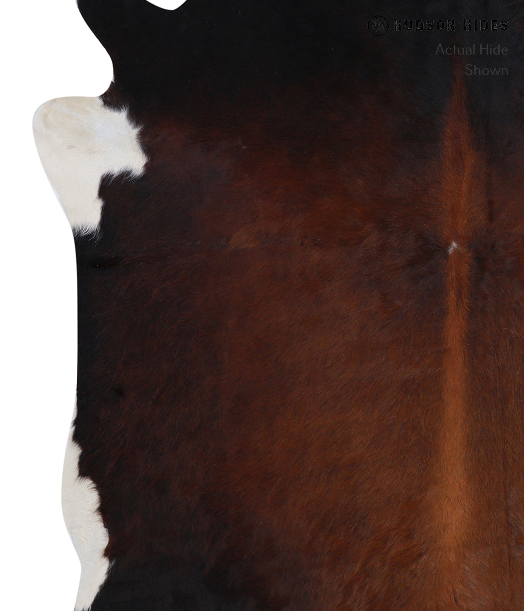 Brown with Red Cowhide Rug #A4754