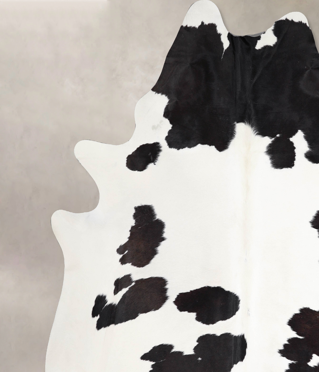 Black and White XX-Large Brazilian Cowhide Rug 8'7"H x 7'6"W #A47580 b