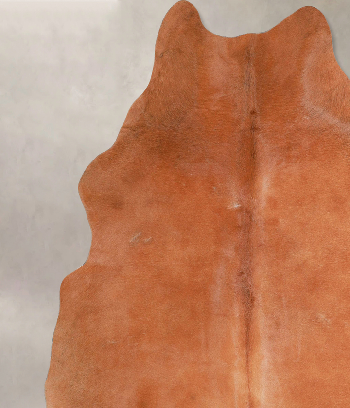 Solid Brown X-Large Brazilian Cowhide Rug 7'0"H x 6'4"W #A47587 by Hudson Hides