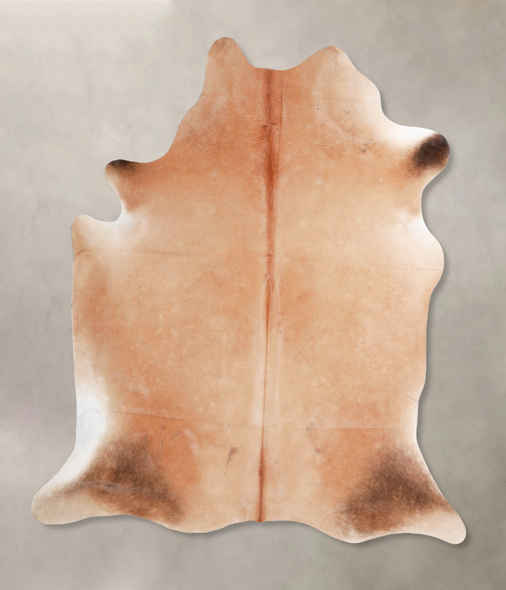 Light Caramel Large Brazilian Cowhide Rug 5'10"H x 5'8"W #A47591 by Hudson Hides