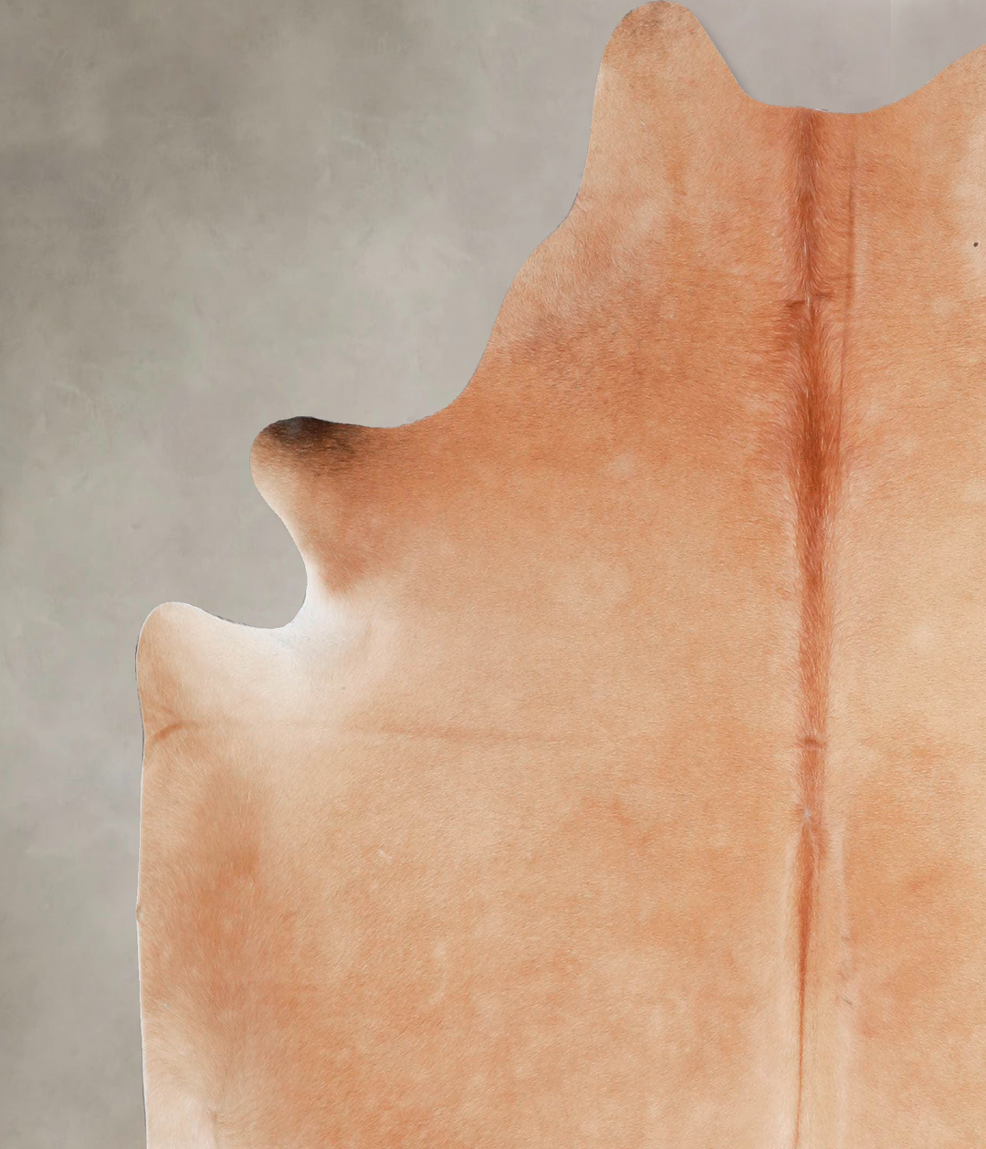 Light Caramel Large Brazilian Cowhide Rug 5'10"H x 5'8"W #A47591 by Hu