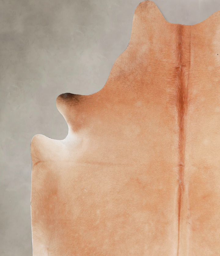 Light Caramel Large Brazilian Cowhide Rug 5'10"H x 5'8"W #A47591 by Hudson Hides